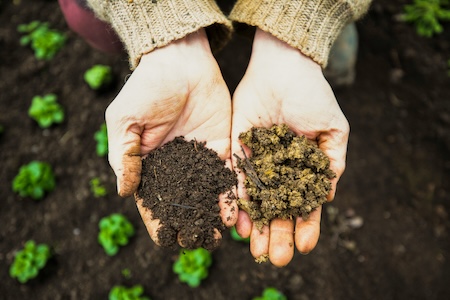 Hands holding soil, representing cybersecurity risk assessment